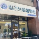 빌리브동물병원 이미지