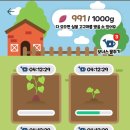 사과 앱마켓