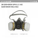 빛가람곤충