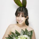 플로리스트 이미지