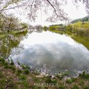 경북 굴렁쇠 사랑 이미지