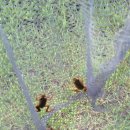 세천늪근린공원 이미지