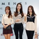피에스타 이미지
