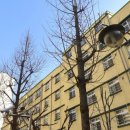 구지초교병설 이미지