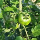 두런두런영농조합법인 이미지