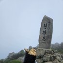 우중불고기 이미지