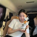 배우 하윤경 프로필, 정말 바쁜 잘나가는 ‘사’자 전문 배우 언더커버 미쓰홍