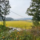 슬로우레인 - 청주시 흥덕구 2순환로 1233 | 슬로우레인