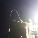 마린(Marine)