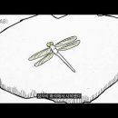 에스디 코리아(SD KOREA) 이미지