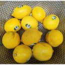 달달한레몬청 이미지