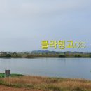 플라밍고C.C 이미지