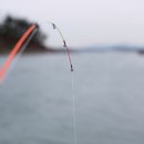 해와달해양낚시공원 이미지