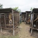 김성광 농장 이미지