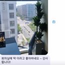 미미화원 이미지