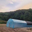 김가네구가네 이미지