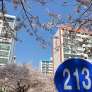 남천 공중화장실 이미지