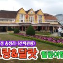 나트랑&amp;달랏 패키지여행 다녀왔습니다----(3박 5일 일정 총정리~영상) 이미지