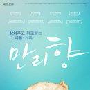 연극 만리향 이미지