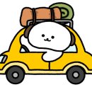 옐로우레빗츠 이미지