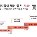태안 GGP 이미지