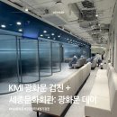 종로-신영-종로-영-149 | KMI 광화문 검진 + 세종문화회관: 광화문 데이 완성