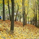 송정제방 이미지