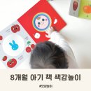 동시랑 그림책으로 놀기 | 블루래빗 책 8개월 아기의 첫 색감 놀이 진짜 후기
