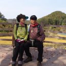 법수초등학교 이미지