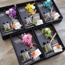 주니캔들 이미지