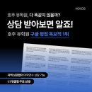 [호주 여행/워홀/유학 지역추천] 남호주 애들레이드는 어떤 곳일까? - 현지인이 들려주는 이야기