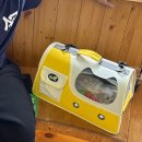 김포24시힐동물의료센터 이미지