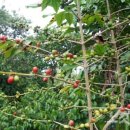 밀물농장 이미지