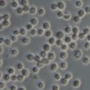 천인지한의원 이미지