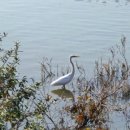 인천대공원(야외음악당 옆) 이미지