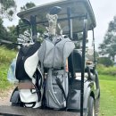 노*호 | GROVE2.0 Stand Bag 지헤지호그 노캐디 라운딩 후기