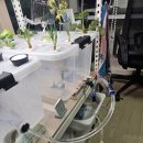 대농2농장 이미지