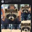 금마도서관 | ㅂㅡㄹㄹㅗㄱㅡ