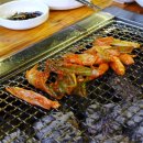 고창풍천민물장어 이미지