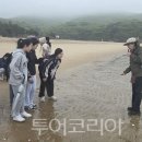 세종에듀투어 이미지