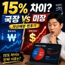 행운미장 | 수익률 15% 차이 나는 선택? 직장인 이책임이 공개하는 국장 vs 미장 자산 배분 포트폴리오 찐 후기