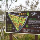 비비정 상생 도시숲 이미지