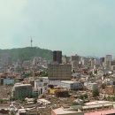 Traditional 이미지