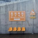 도지커피 이미지