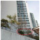 동원초등학교 정문 앞 이미지