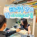 슈네일 이미지