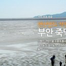 죽마을 - 은평구 | 죽마을