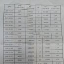 레블로질주 효과 보고 있습니다.. 이미지