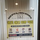 쿨펫 이미지