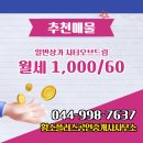 황소공인중개사사무소 이미지